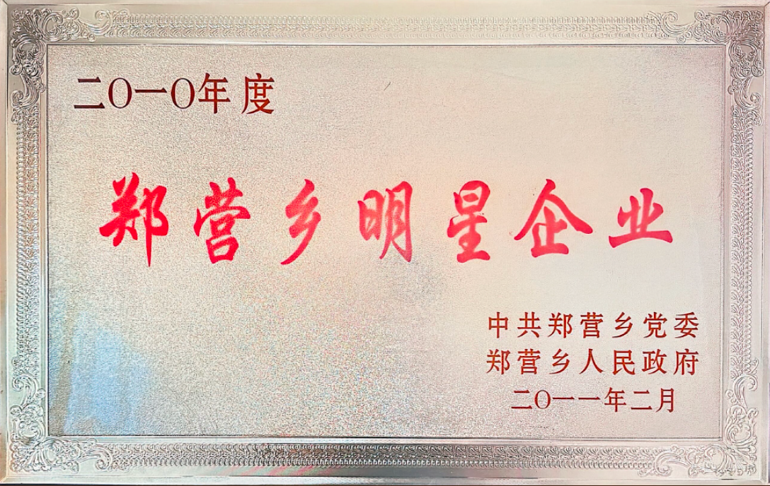2010 Star Enterprise Award presented by Zhengying Township, Shandong, China.