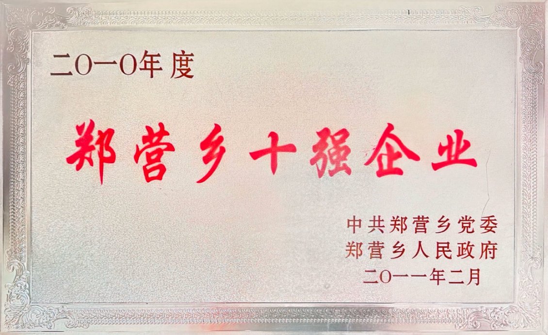 2010 Top 10 Enterprise Recognition Award from Zhengying Town, Shandong, China.
